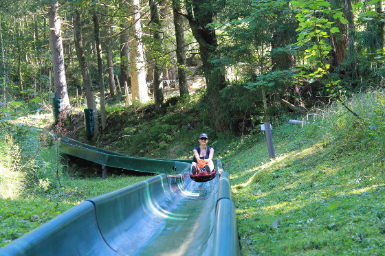 Sommerrodelbahn hinab ins Tal