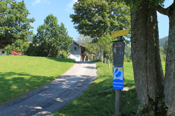 Abzweigung unterhalb des Bauernhofes in Hohenleiten