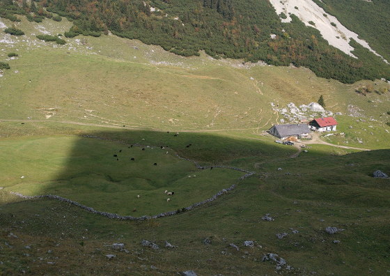 Alm im Großtiefenthal