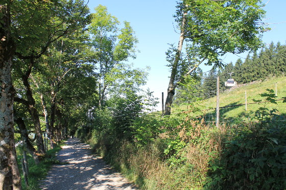 Wanderweg hinauf zur Schliersberg-Alm. Rechts im Bild die Gondel.